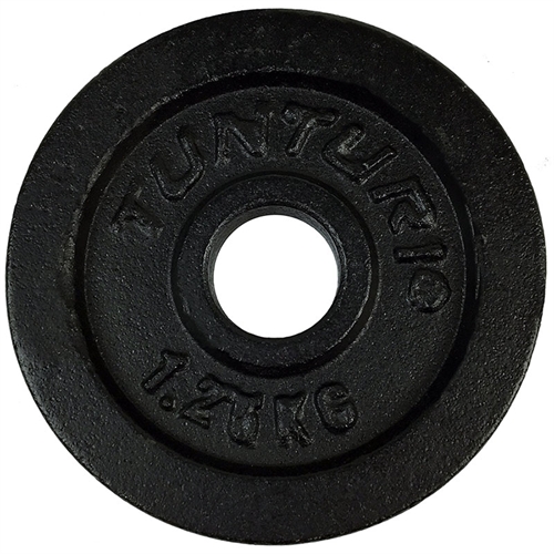 Tunturi Viktskiva Disc Gjutjärn - 1,25kg / Ø30 mm